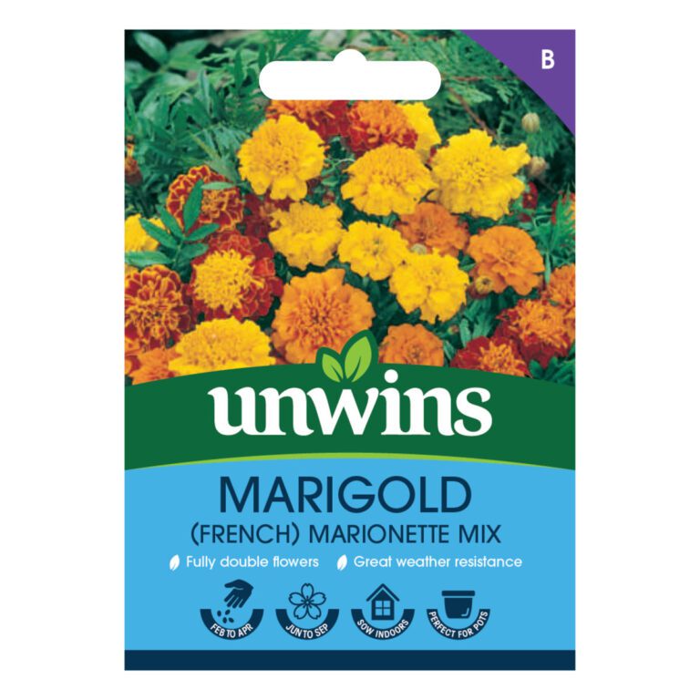 5051618031615 1 Marigold French Marionette Mix Seeds.jpg